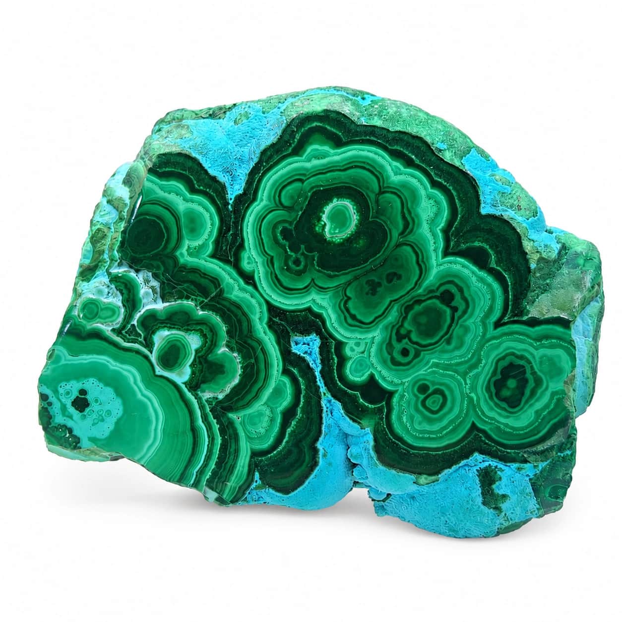 Natural Medium Size Chrysocolla Malachite Polished Slab on Acrylic Display Stand 2