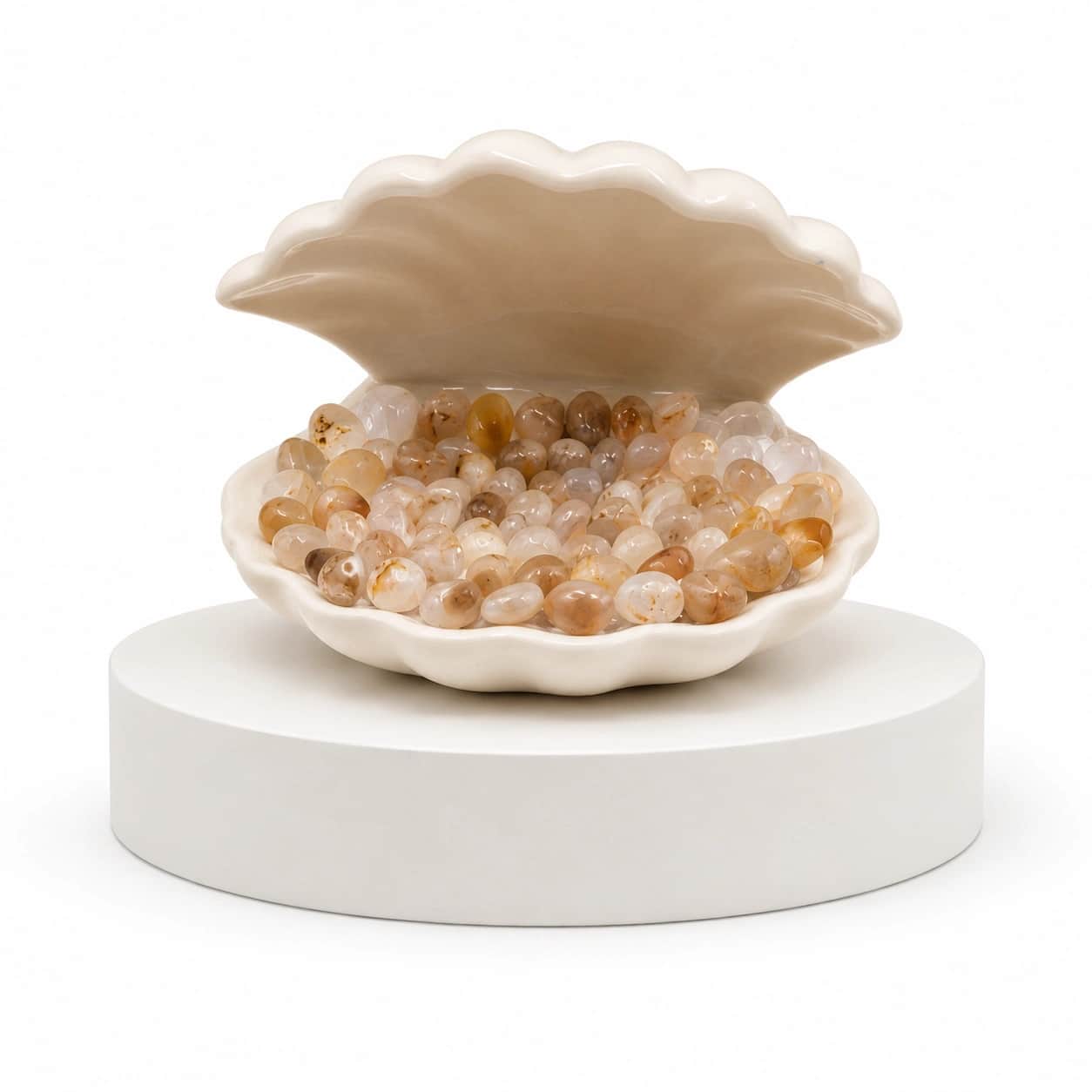 Ocean Glow Clam Shell | Handcrafted Crystal Stone Ambient Light | 6 Variants — Citrine/Honey Quartz, Moss Agate, Amethyst, Green Aventurine, Rose Quartz, Clear/Smoky Quartz | Premium Ceramic Shell | Natural Crystals, LED Ambient Glow & Home Décor 2